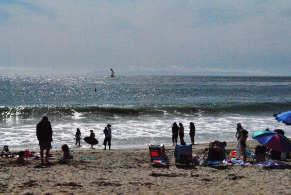 lagunabeach2